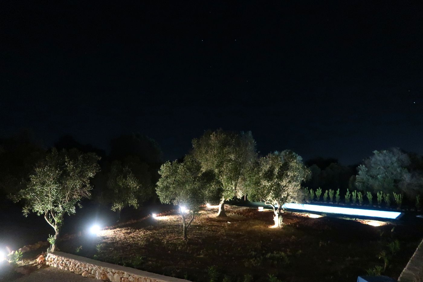 Night Garden