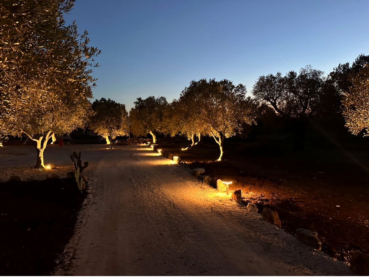 The Driveway